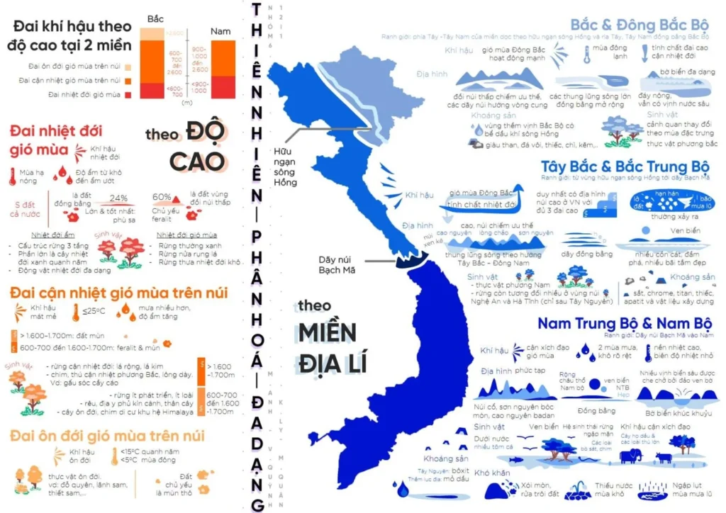 Mẫu infographic thông tin địa lý