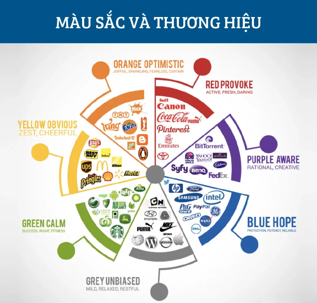 Màu sắc thương hiệu được sử dụng làm màu chủ đạo trong infographic